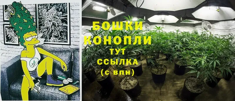 Каннабис SATIVA & INDICA  Ковылкино 